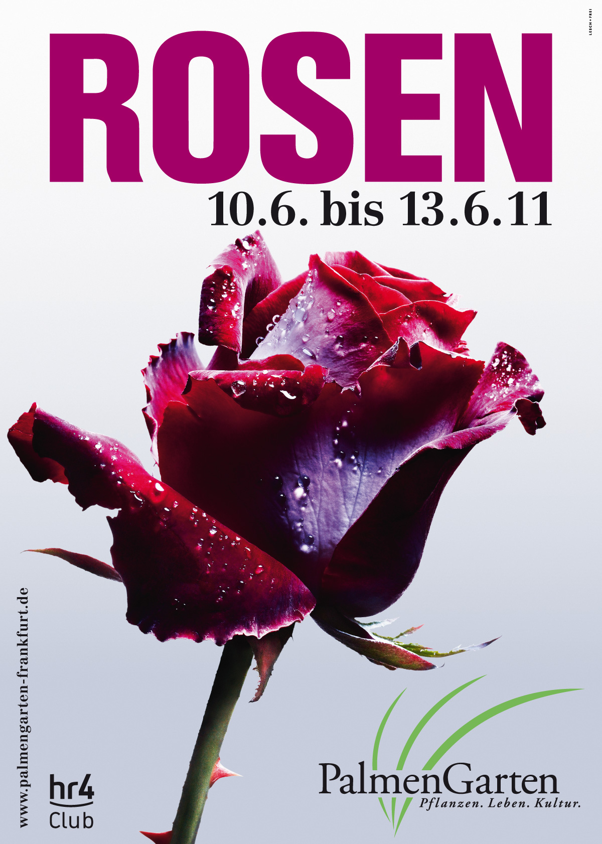 Palmengarten Plakat Rosen